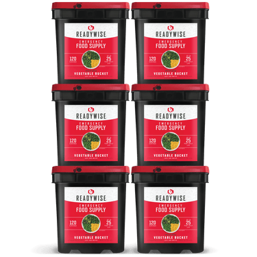 720 Serving Freeze Dried Vegetables (6, 120 serving buckets)